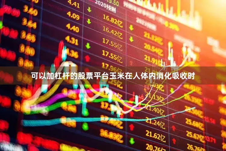 可以加杠杆的股票平台玉米在人体内消化吸收时