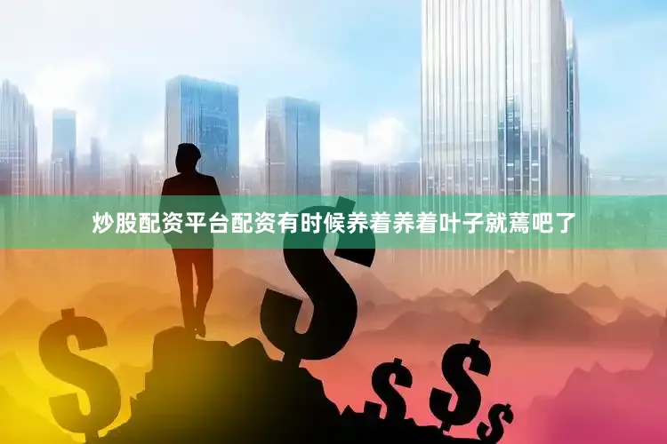 炒股配资平台配资有时候养着养着叶子就蔫吧了
