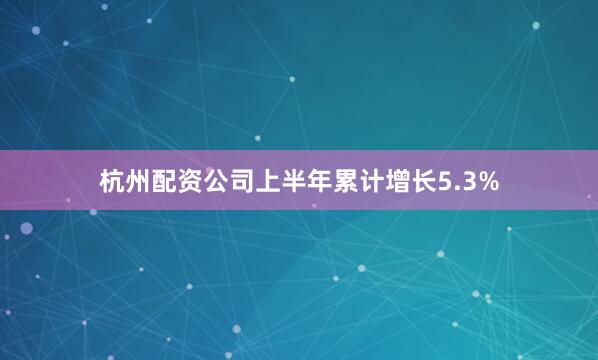 杭州配资公司上半年累计增长5.3%