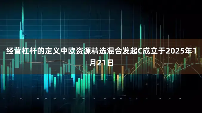 经营杠杆的定义中欧资源精选混合发起C成立于2025年1月21日